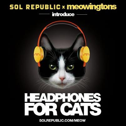 484079_511654228852133_1588186812_n meowingtons headphones