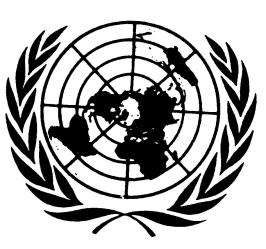 UN.logo_