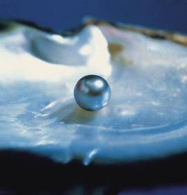 June Birthstone Pearl 5