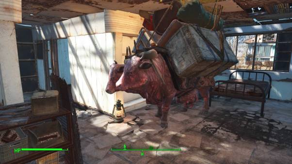 12304175_10102193657859033_8818569545914787342_o