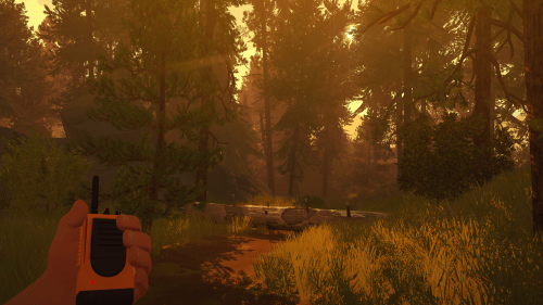firewatch4