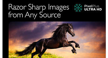 F400073750-FIL-global-001