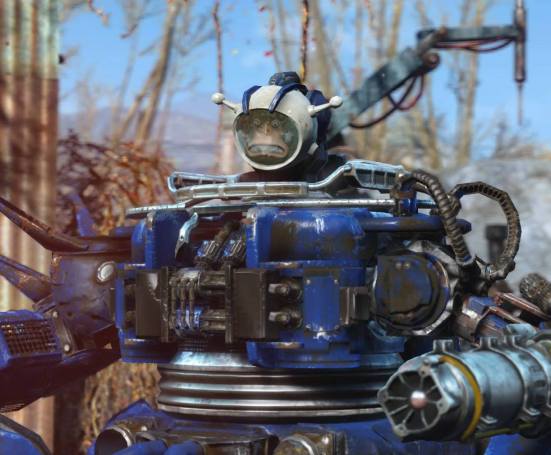 13613262_10102499647428483_8269192529745975415_o